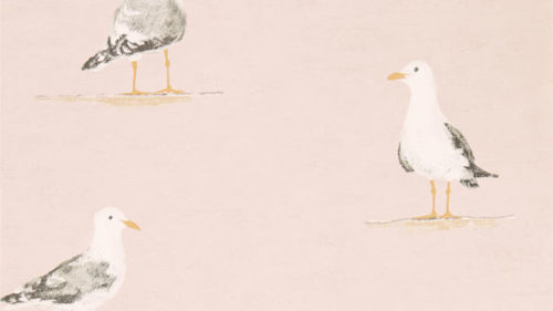 Shore Birds 216562